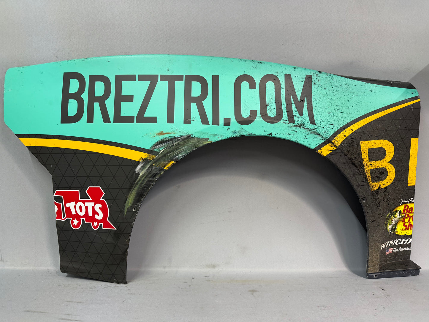 Austin Dillon #3 2025 Talladega Breztri Nascar Quarter Panel