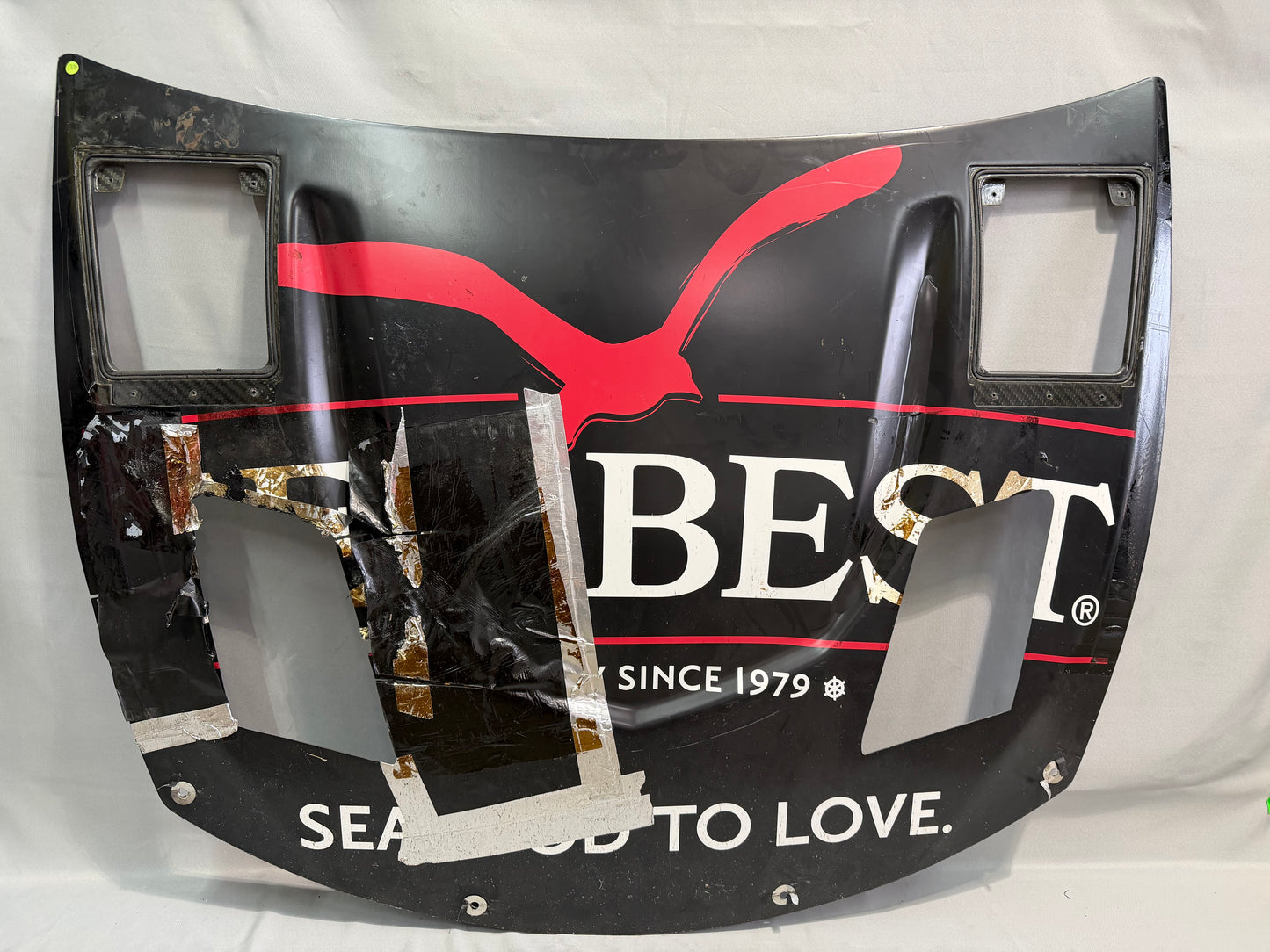 Ty Dillon #10 2025 Sea Best Nascar Hood