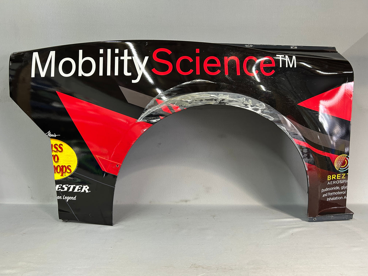 Austin Dillon #3 2025 Michigan Dow Nascar Quarter Panel