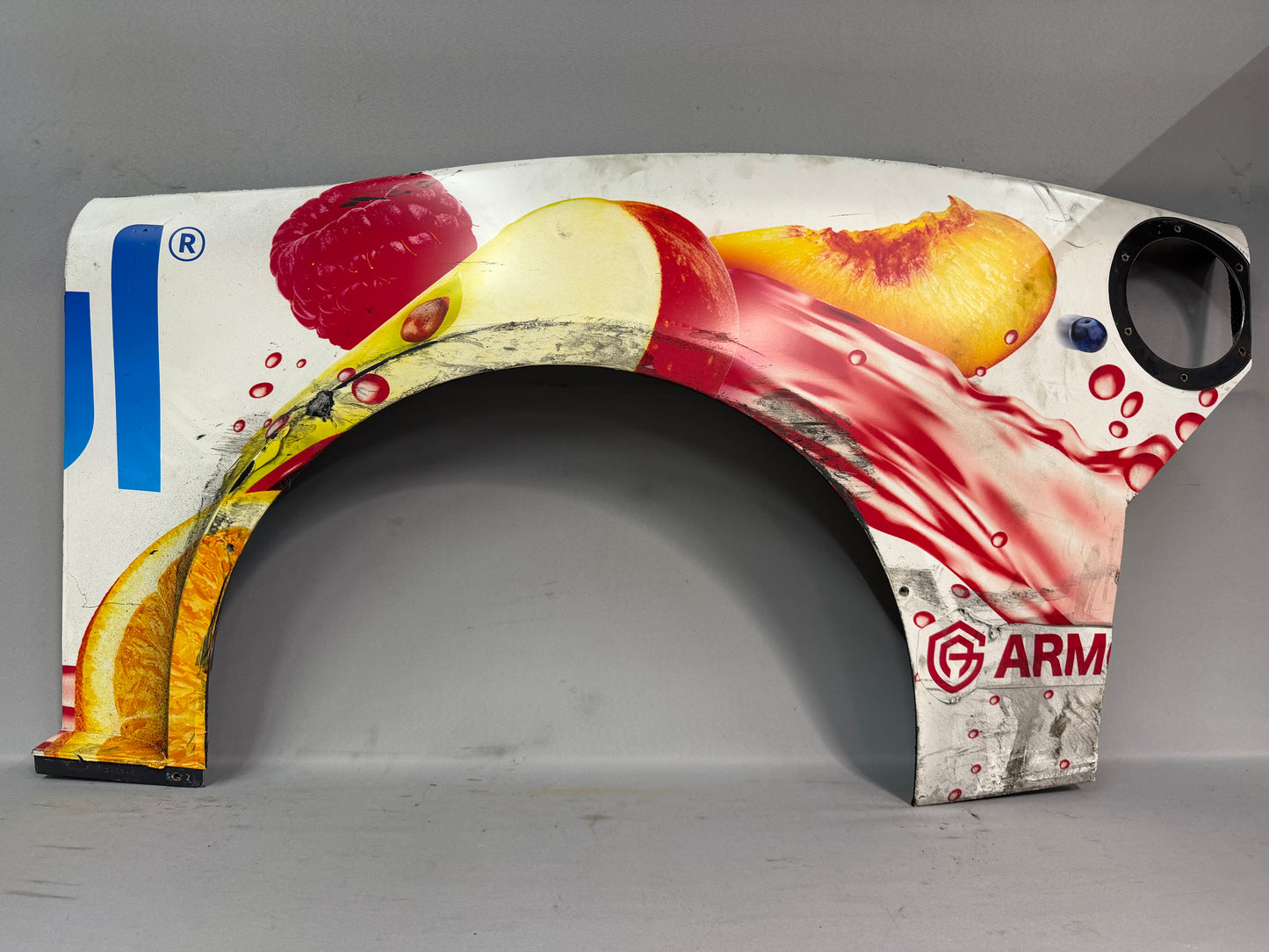 Daniel Hemric #31 2024 Cirkul Nascar Quarter Panel