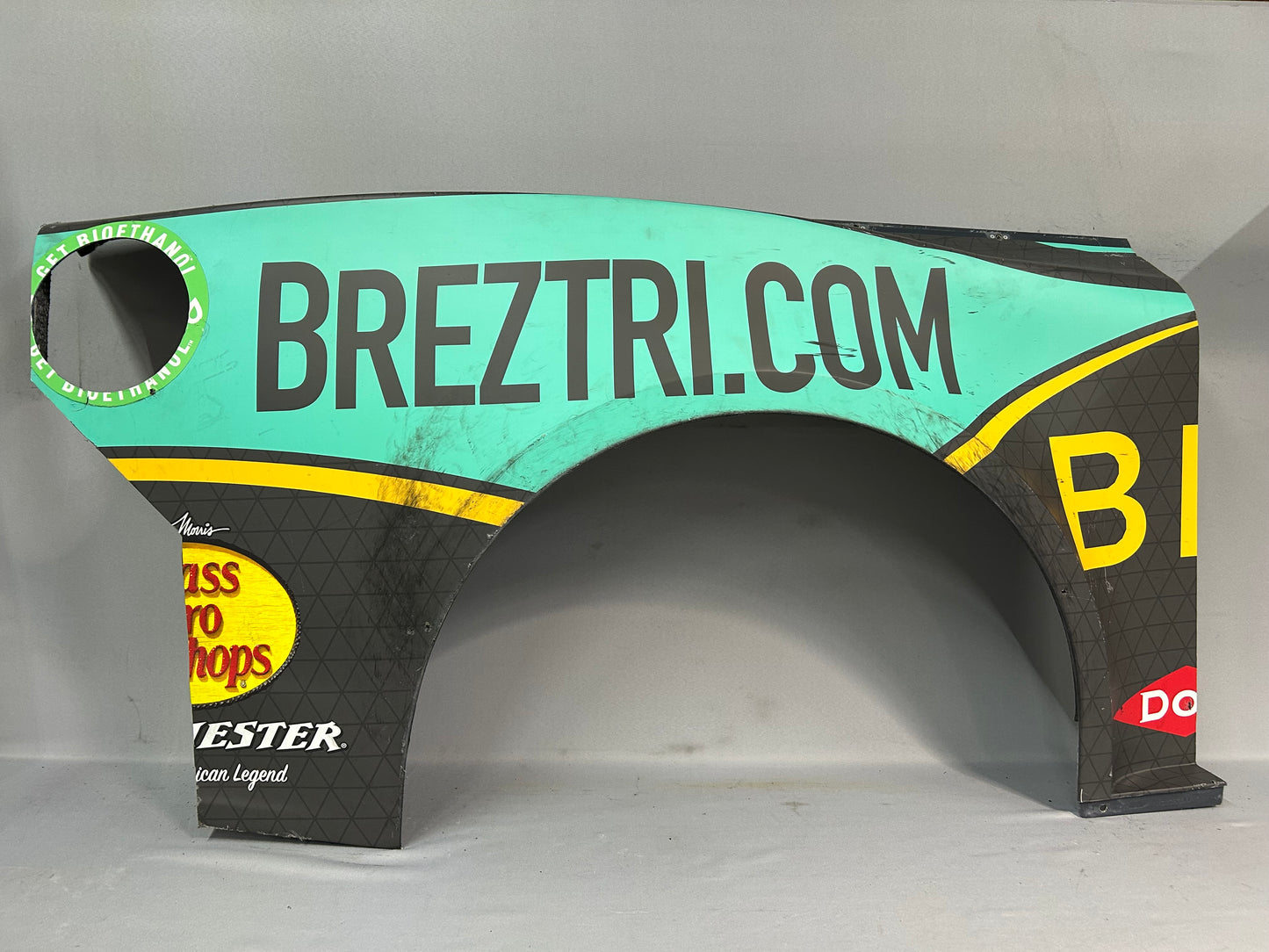 Austin Dillon #3 2025 Watkins Glen Breztri Nascar Quarter Panel