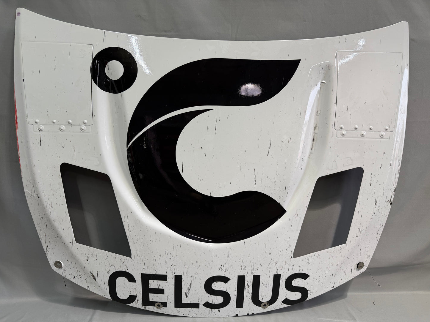 AJ Allmendinger #16 2025 Phoenix Celsius Spritz Vibe Nascar Hood