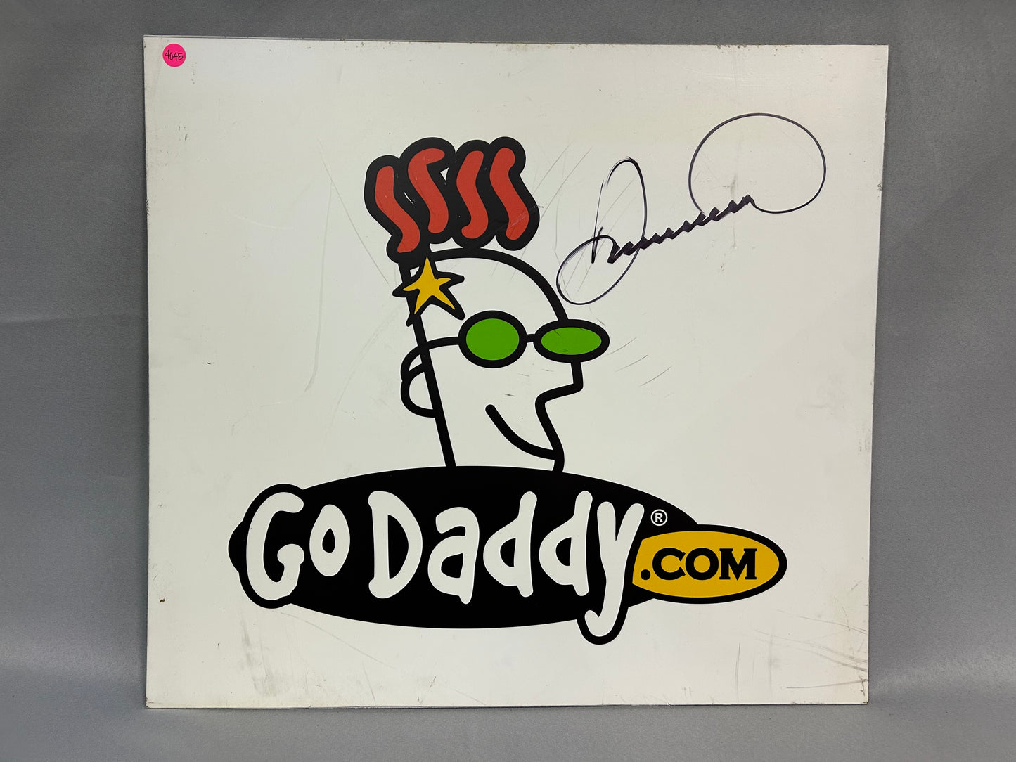 Danica Patrick #10 Go Daddy Nascar Autographed Promo Sign