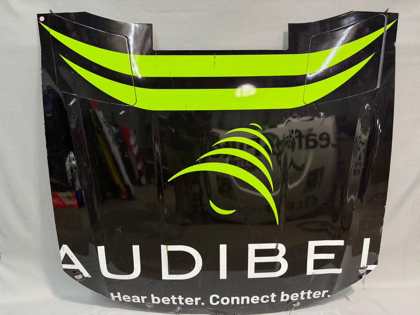 Sam Mayer #41 2025 Audibel Nascar Hood