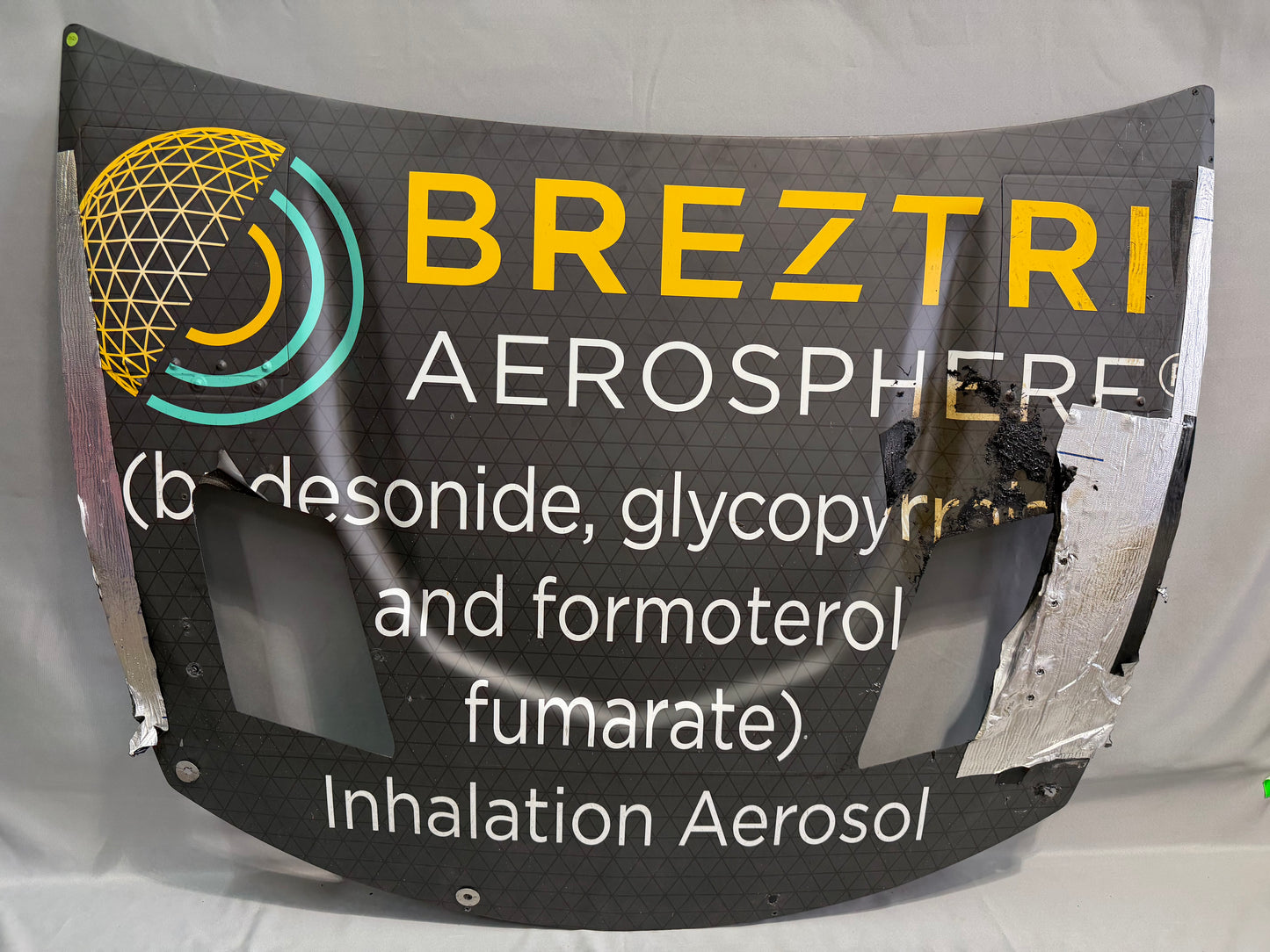 Austin Dillon #3 2025 Talladega Breztri Nascar Hood