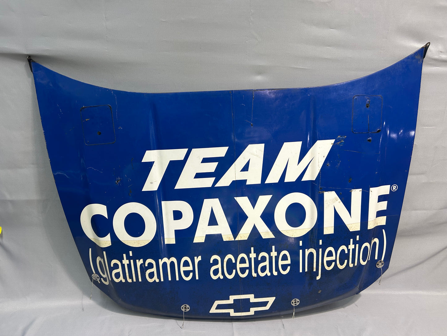 Kelly Sutton #02 Team Copaxone Nascar Hood