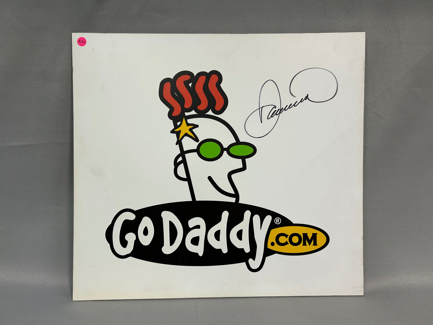 Danica Patrick #10 Go Daddy Nascar Autographed Promo Sign