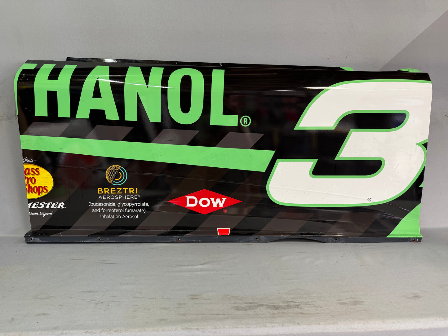 Austin Dillon #3 2025 Las Vegas Get Bioethanol Nascar Door Panel