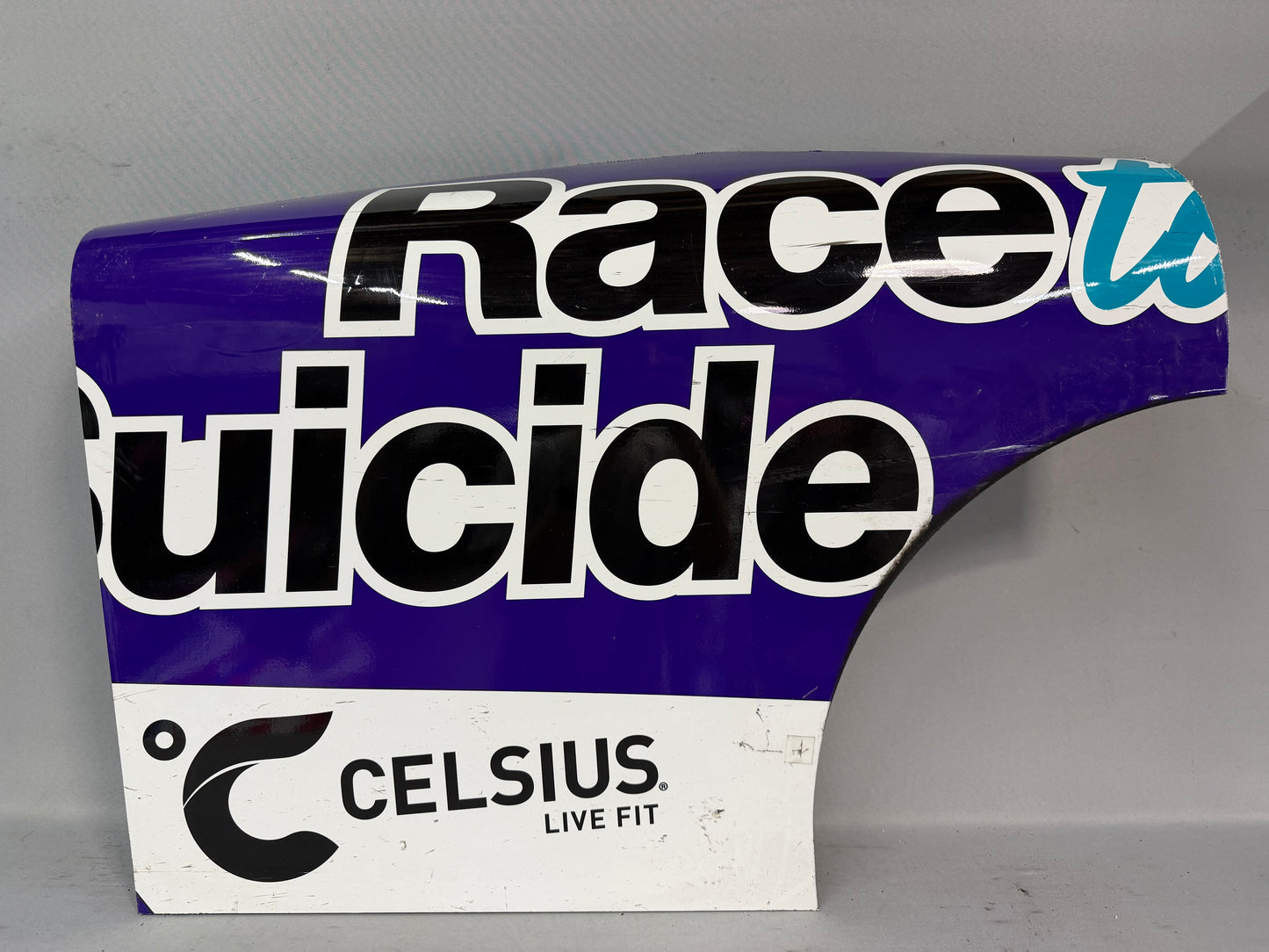 Daniel Dye #10 2025 WWTR Gateway Race To Stop Suicide Nascar Partial Quarter Panel