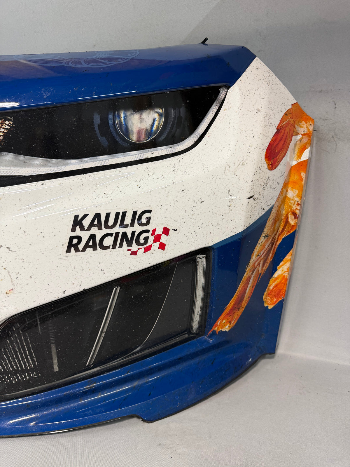 Ty Dillon #10 2026 Iowa Sea Best Nascar Front Nose