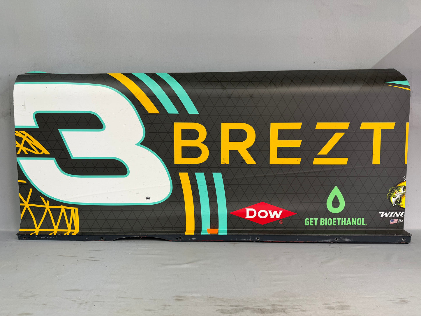 Austin Dillon #3 2025 Talladega Breztri Nascar Door Panel