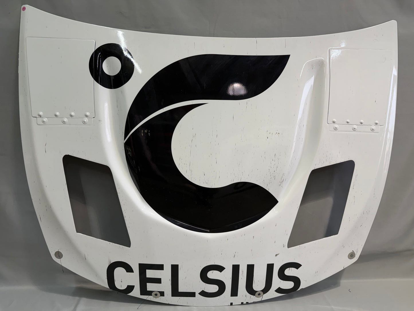 AJ Allmendinger #16 2025 Celsius Nascar Hood