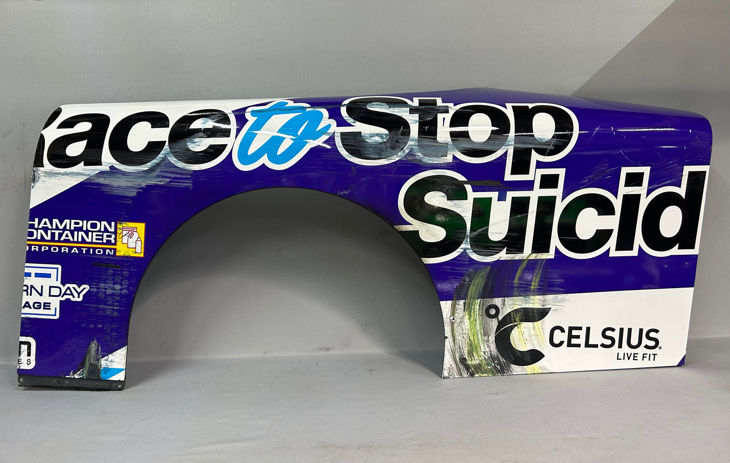 Daniel Dye #10 2025 Mexico City Race To Stop Suicide Nascar Quarter Panel