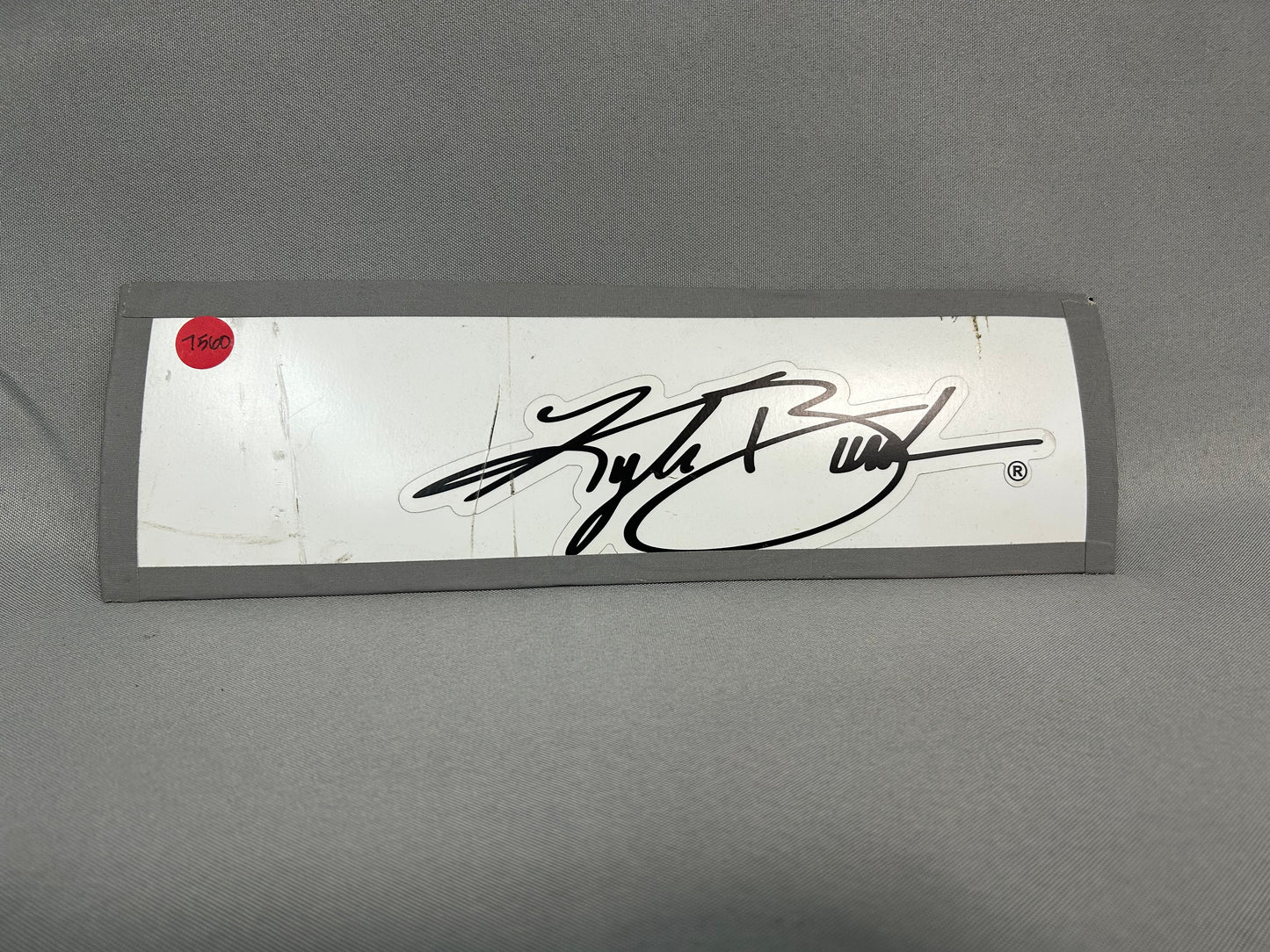 Kyle Busch #7 2024 Darlington BAMF Enterprises Nascar Name Rail