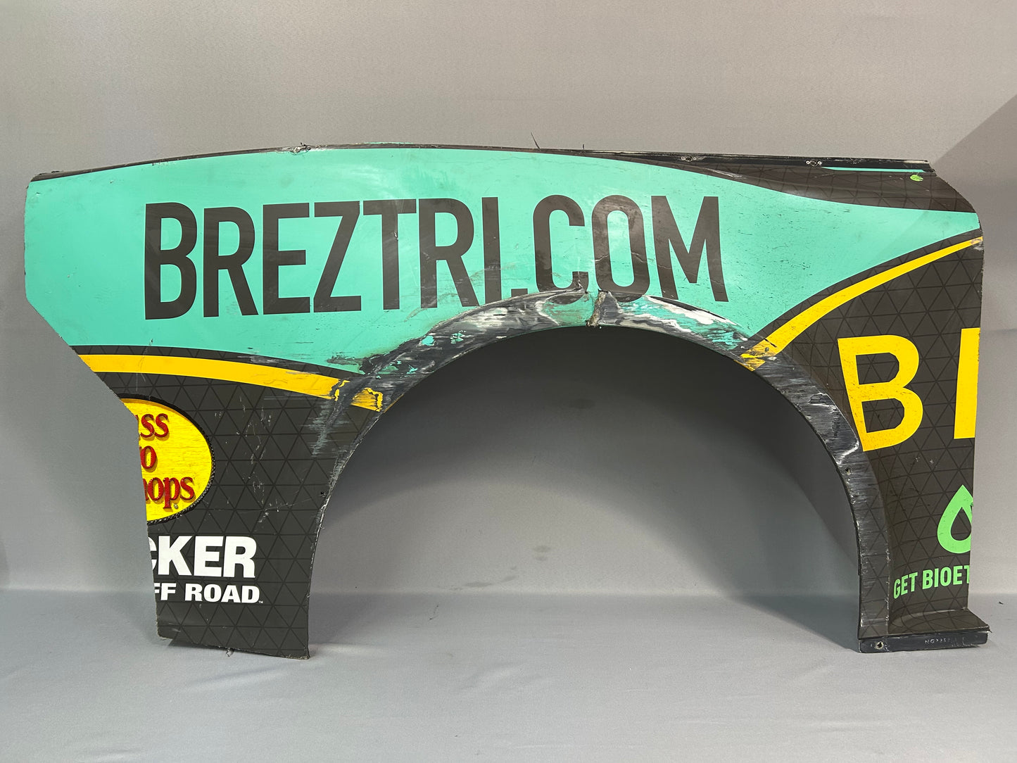 Austin Dillon #3 2024 Atlanta Breztri Nascar Quarter Panel