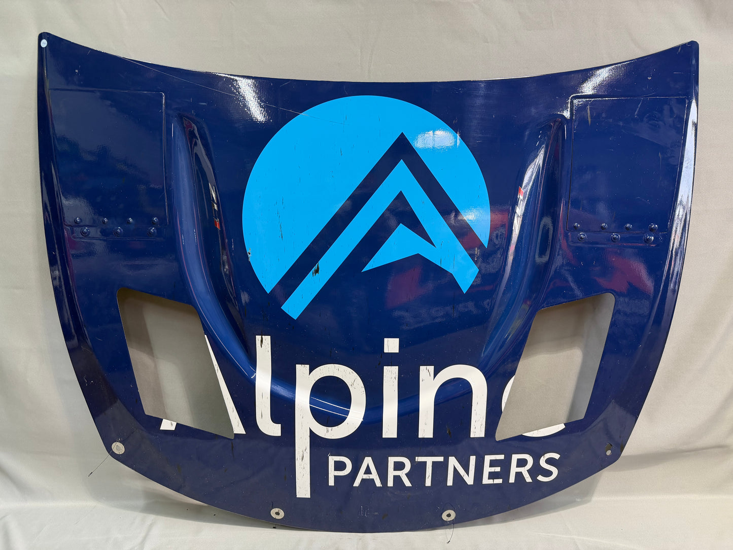 Ty Dillon #10 2025 Phoenix Alpine Partners Nascar Hood