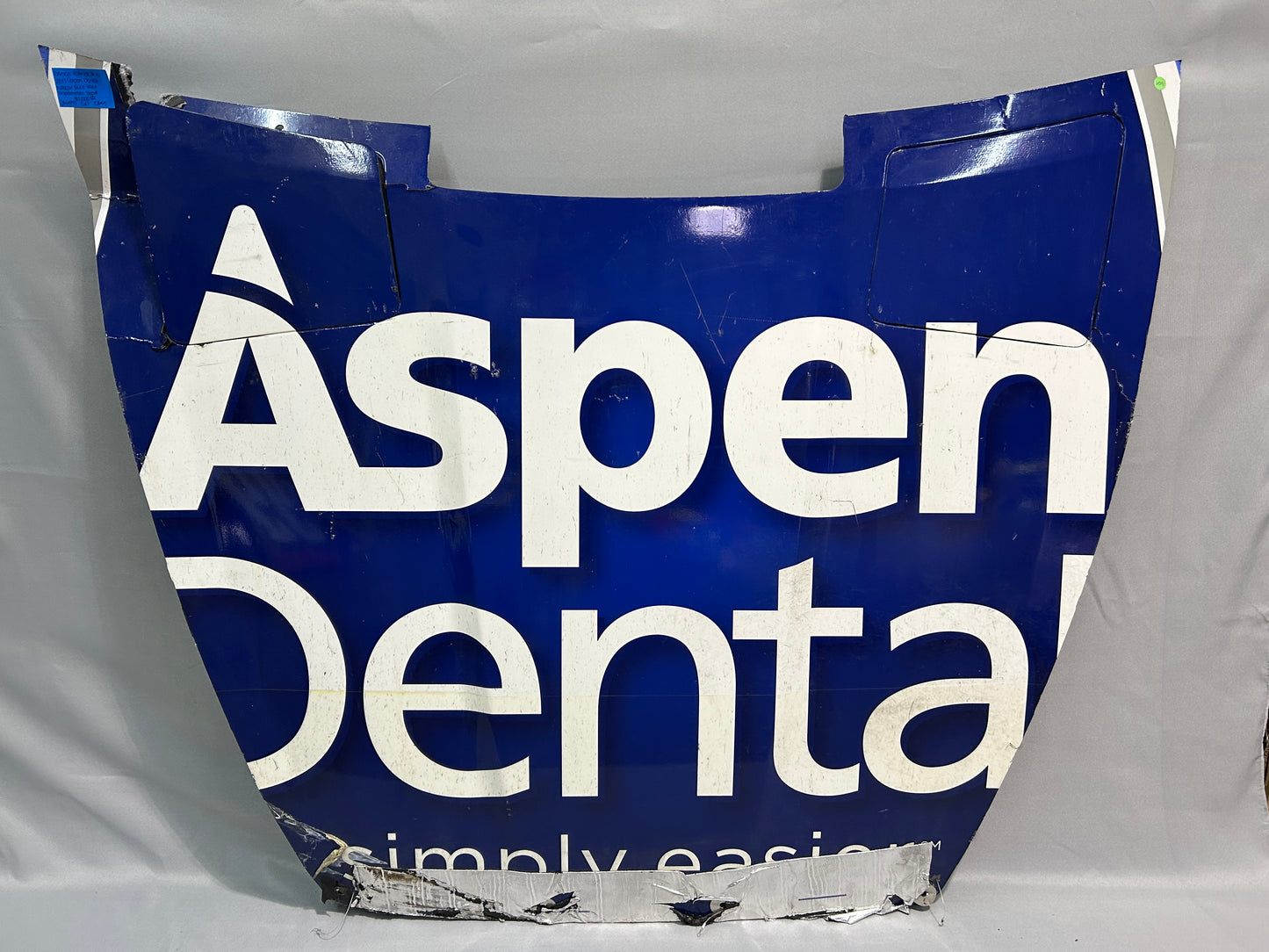 Danica Patrick 2017 Daytona Apsen Dental Nascar Hood