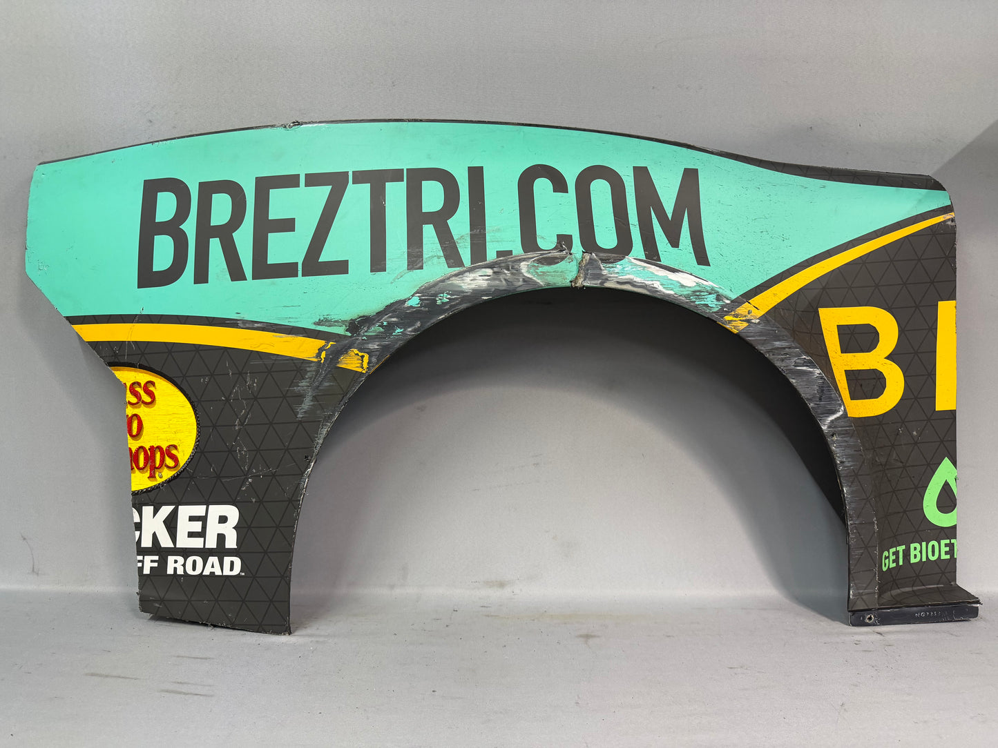 Austin Dillon #3 2024 Atlanta Breztri Nascar Quarter Panel