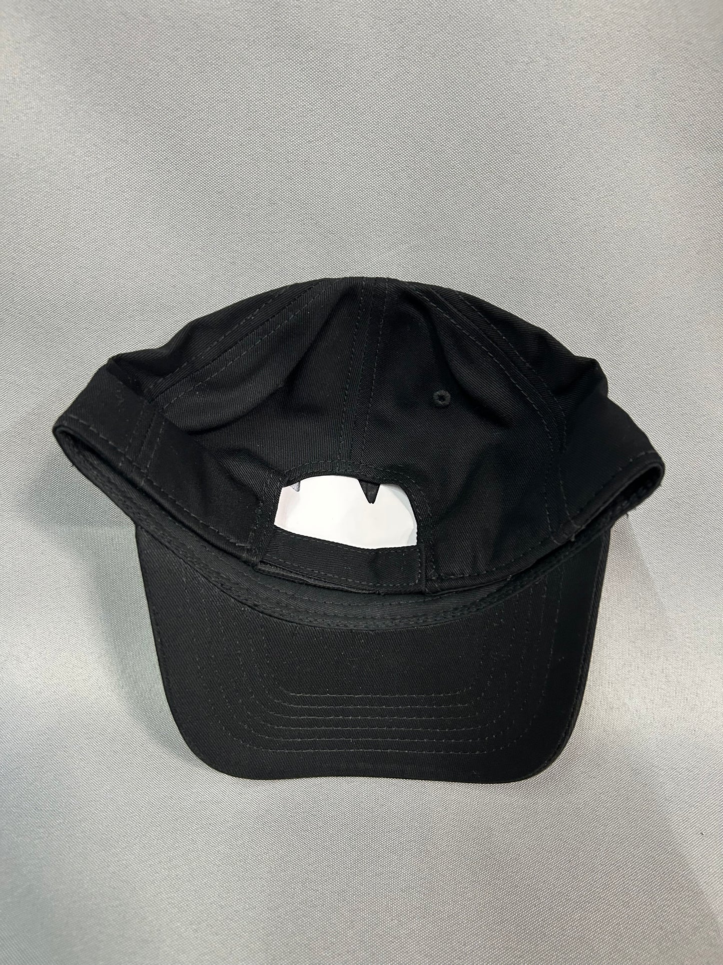Richard Petty Motorsports Nascar Team Issued Hat