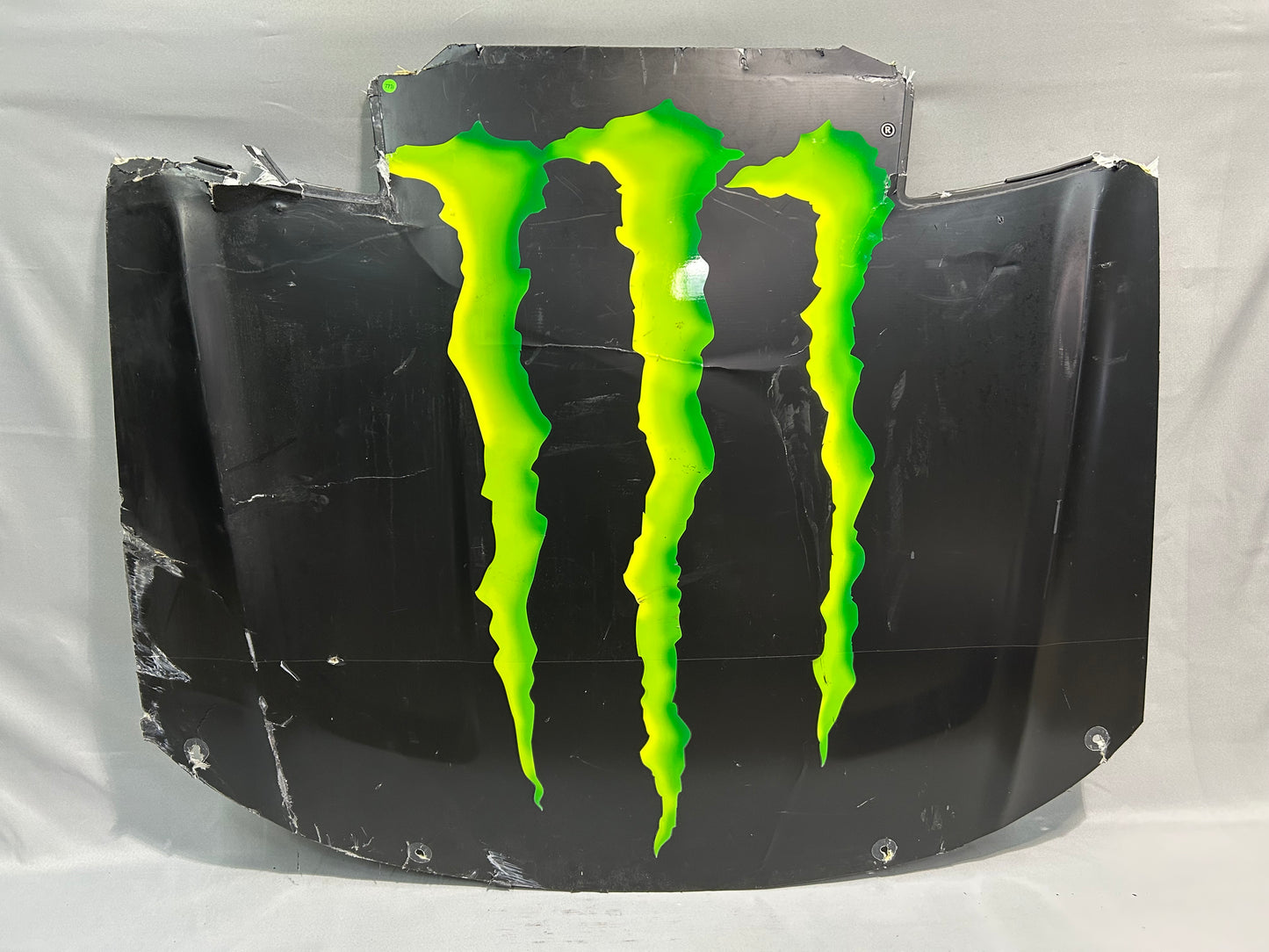 Riley Herbst #98 2024 Monster Energy Nascar Hood
