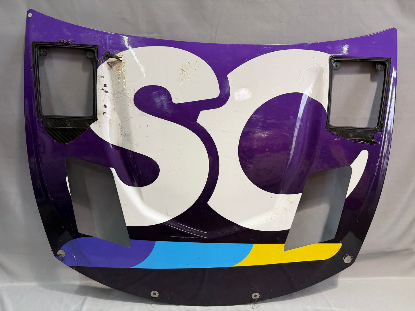 Shane Van Gisbergen #16 2024 Daytona Safety Culture Nascar Hood