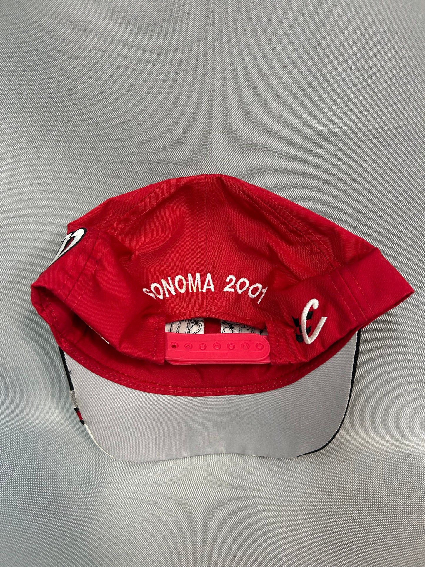 Tony Stewart #20 2001 Sonoma Nascar Winston Cup Victory Lane Hat
