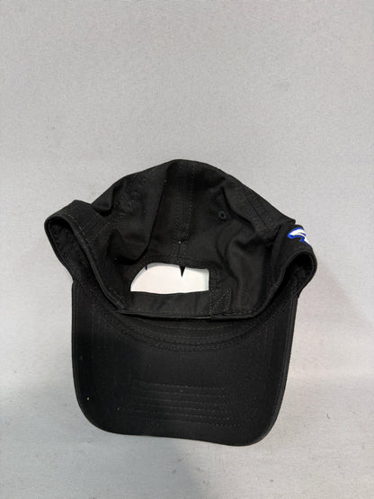 Richard Petty Motorsports #43 #44 Nascar Team Issued Hat