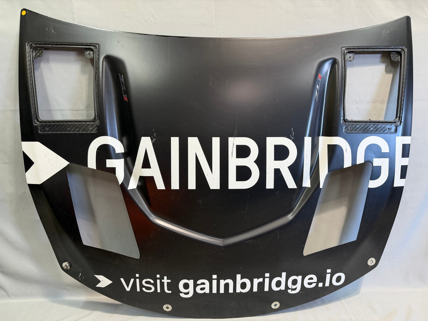 Michael McDowell #71 2025 Gainbridge Nascar Hood