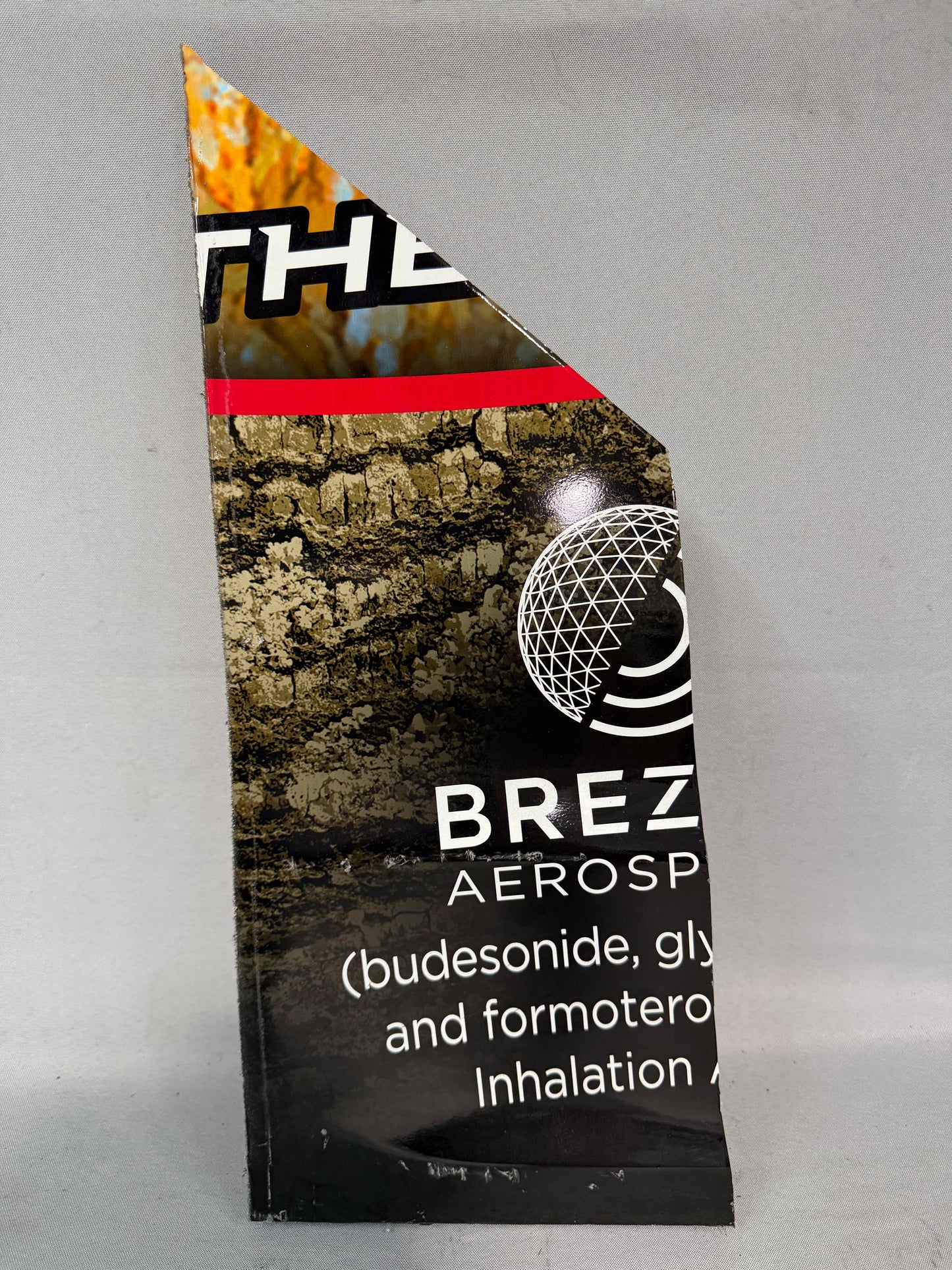 Austin Dillon #3 2025 Phoenix Bass Pro Shops Winchester Nascar Bumper Corner