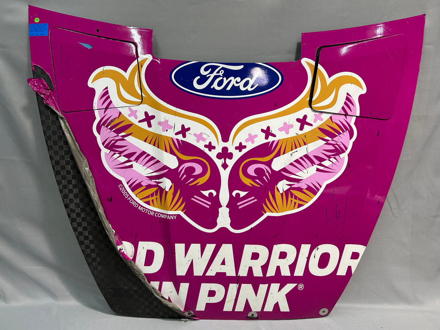 Danica Patrick 2017 Ford Warriors In Pink Nascar Hood