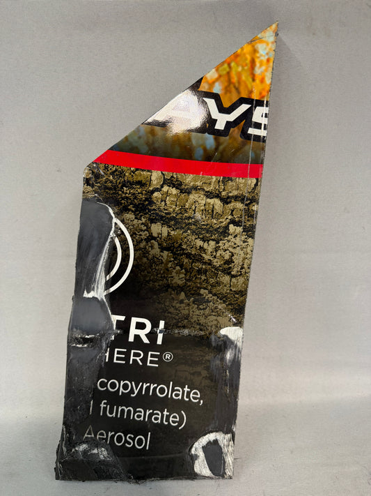 Austin Dillon #3 2025 Phoenix Bass Pro Shops Winchester Nascar Bumper Corner