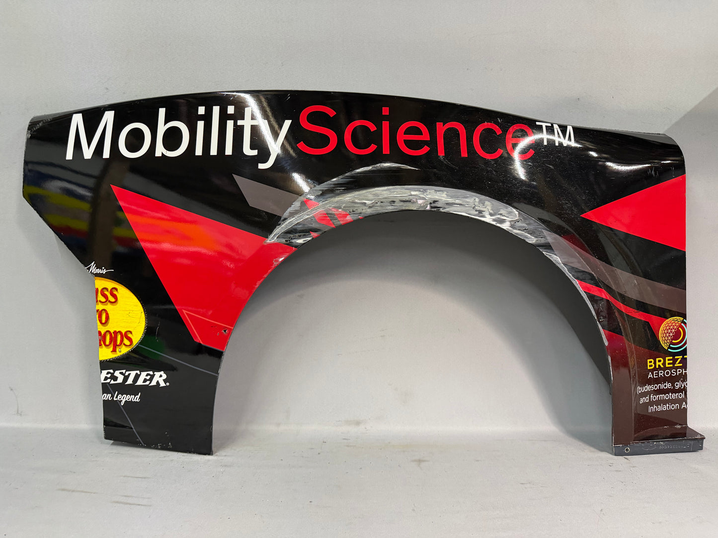 Austin Dillon #3 2025 Michigan Dow Nascar Quarter Panel