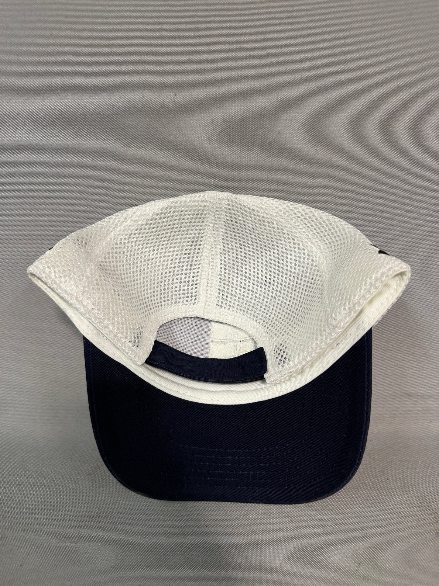 Dale Earnhardt Jr #88 2010 Windows 10 Nascar Team Hat