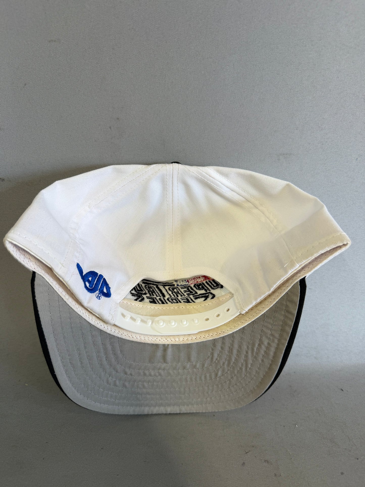 Mike Skinner #3 Craftsman SuperTruck Series Nascar Autographed Hat