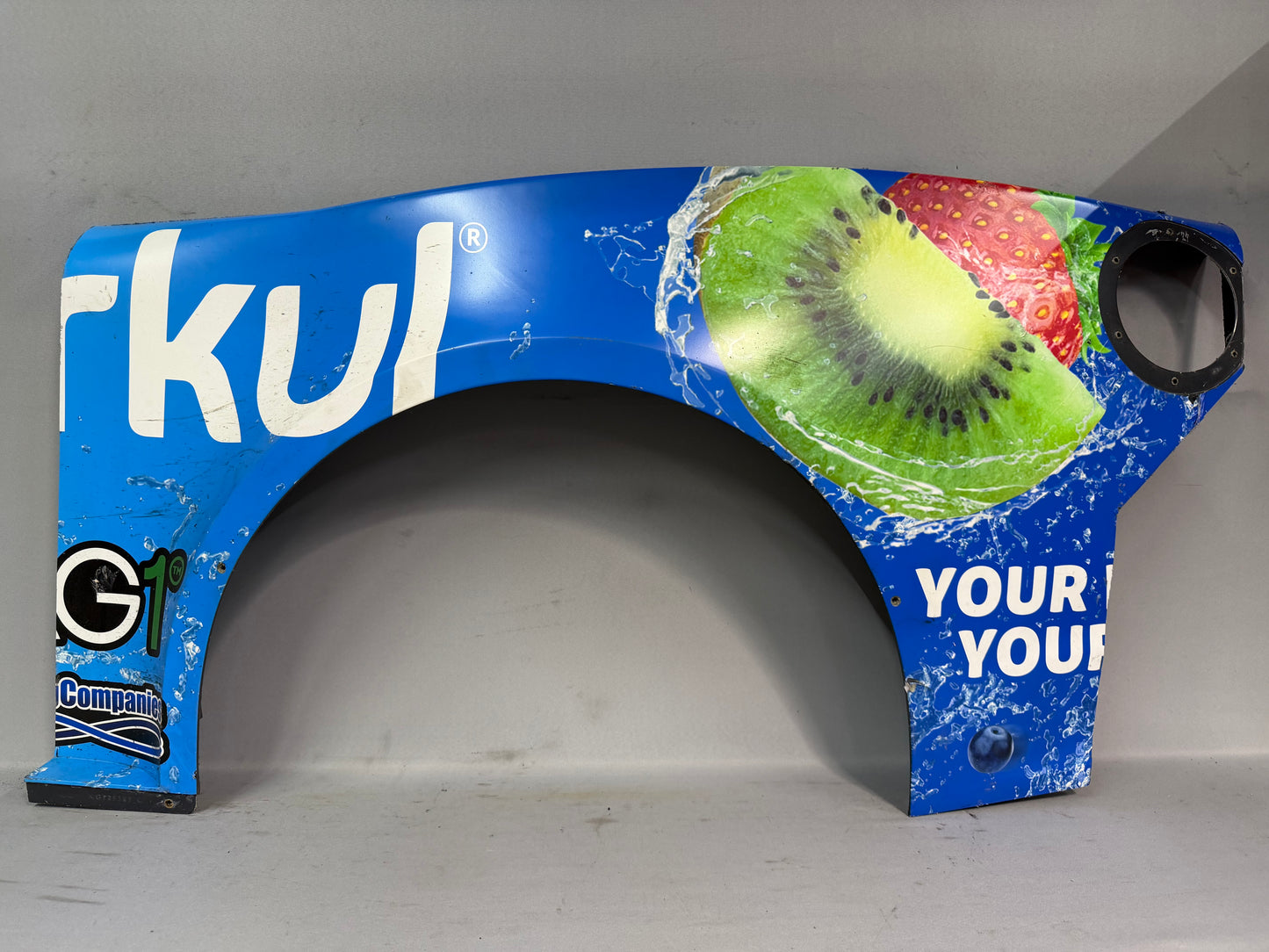 Daniel Hemric #16 2022 Daytona Cirkul Nascar Quarter Panel