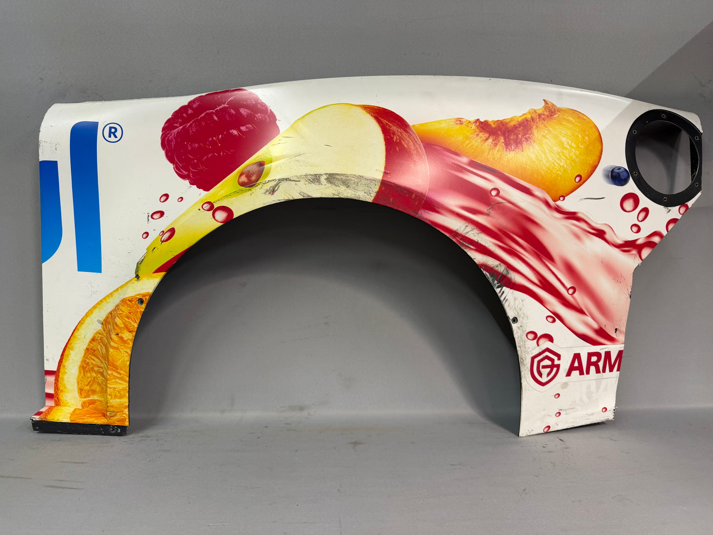 Daniel Hemric #31 2024 Cirkul Nascar Quarter Panel