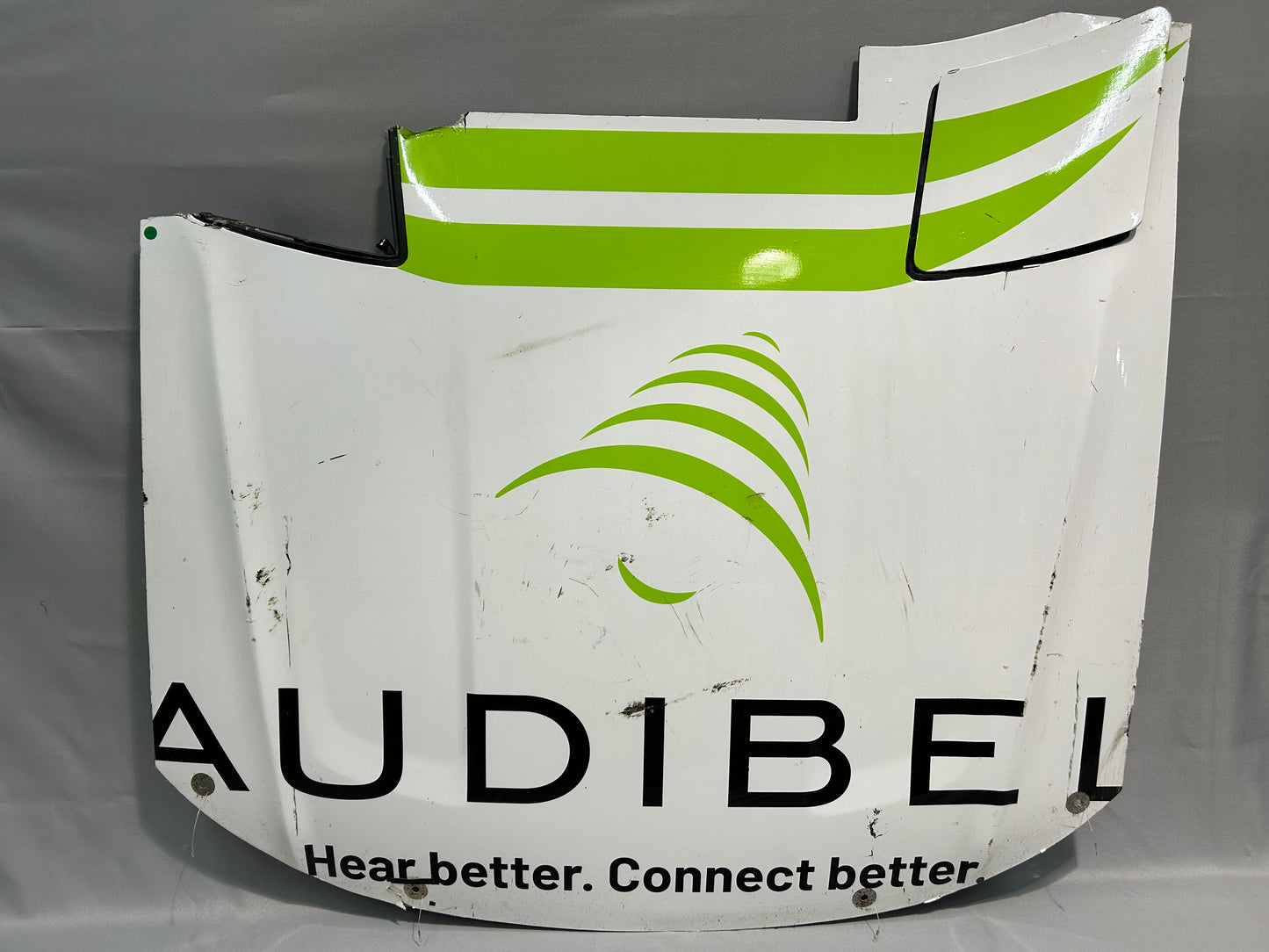 Sam Mayer #41 2025 Audibel Nascar Hood