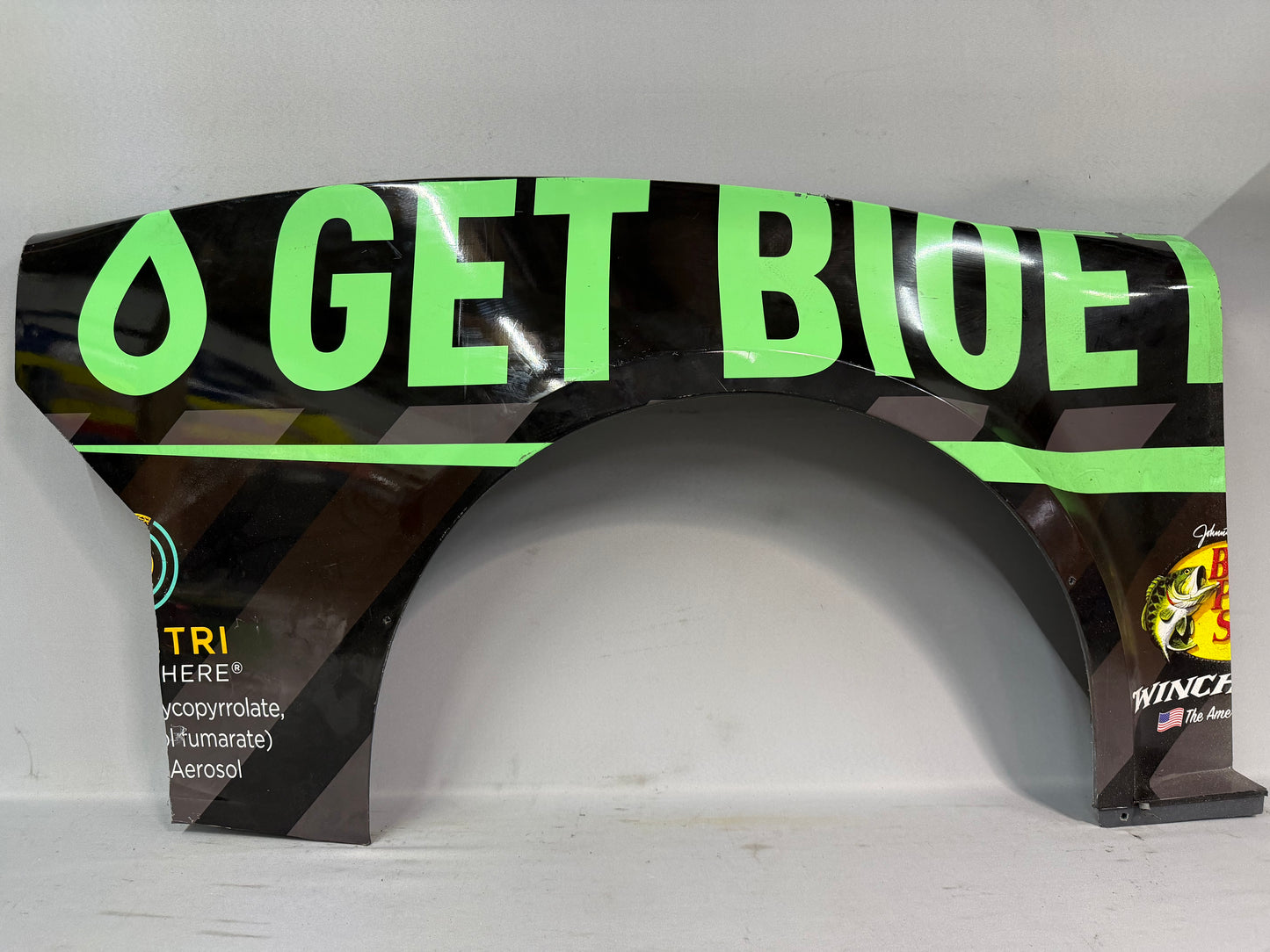 Austin Dillon #3 2025 Indianapolis Get Bioethanol Nascar Quarter Panel