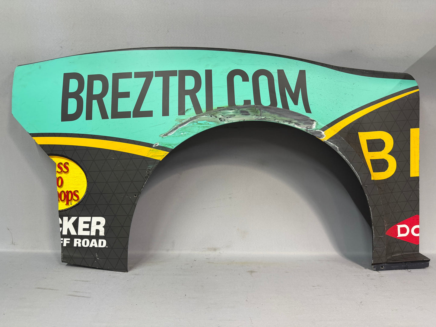 Austin Dillon #3 2024 Atlanta Breztri Nascar Quarter Panel